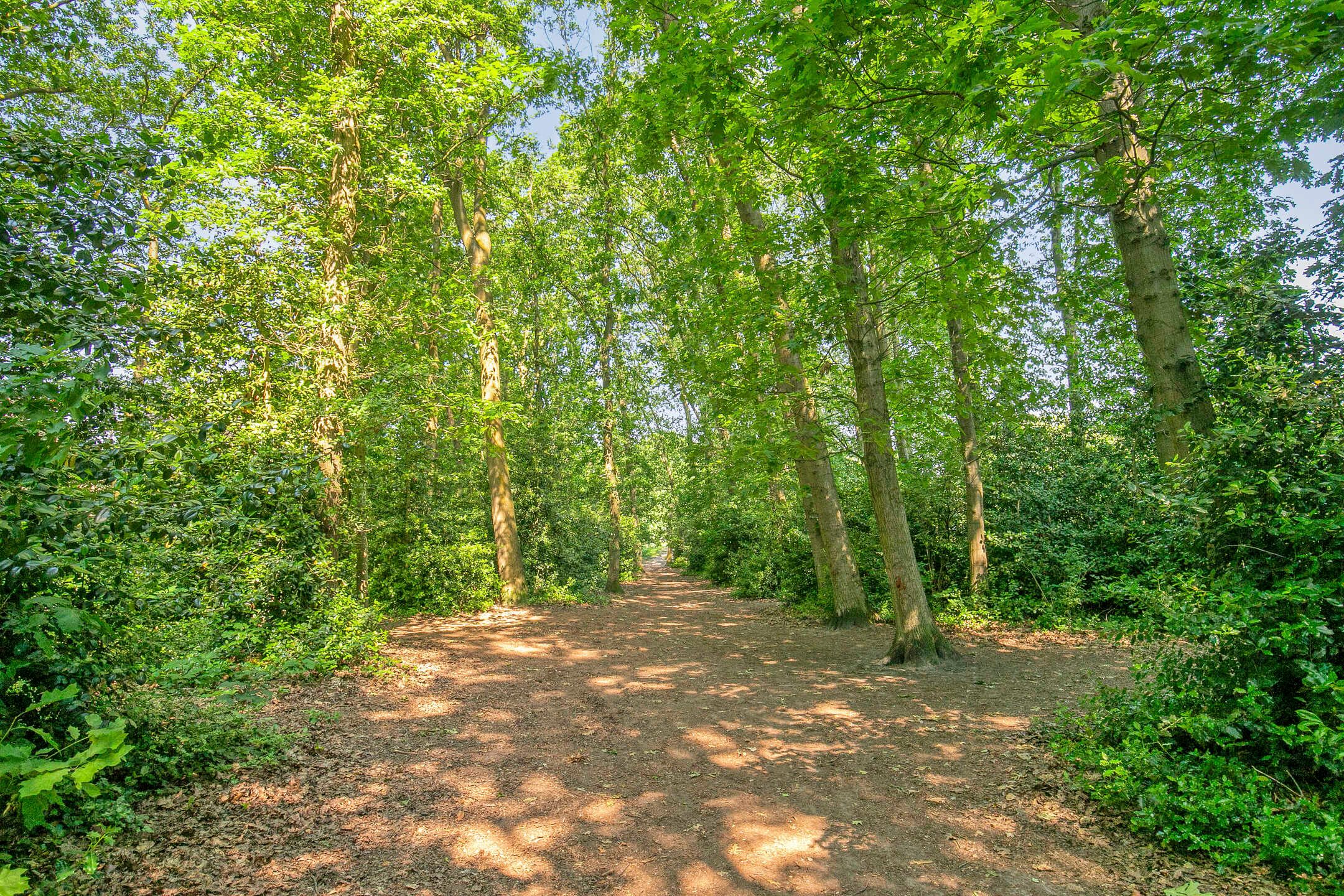 Photo 45 of Steltlopen 8