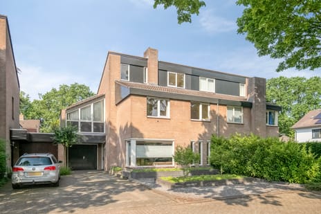 Steltlopen thumbnail