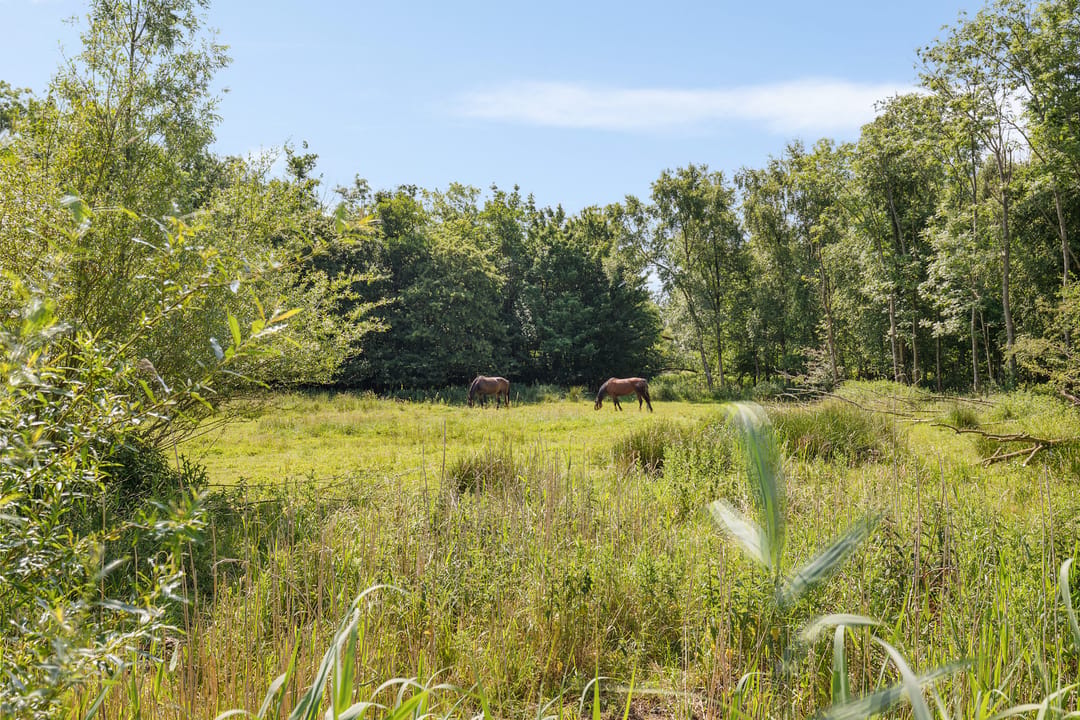 Photo 68 of Oudeschouw 8