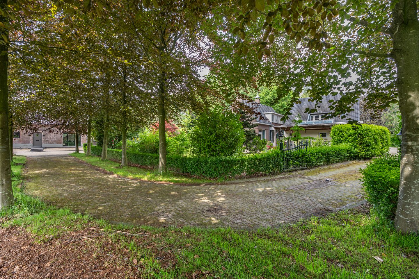 Foto 50 van Hezelaar 4
