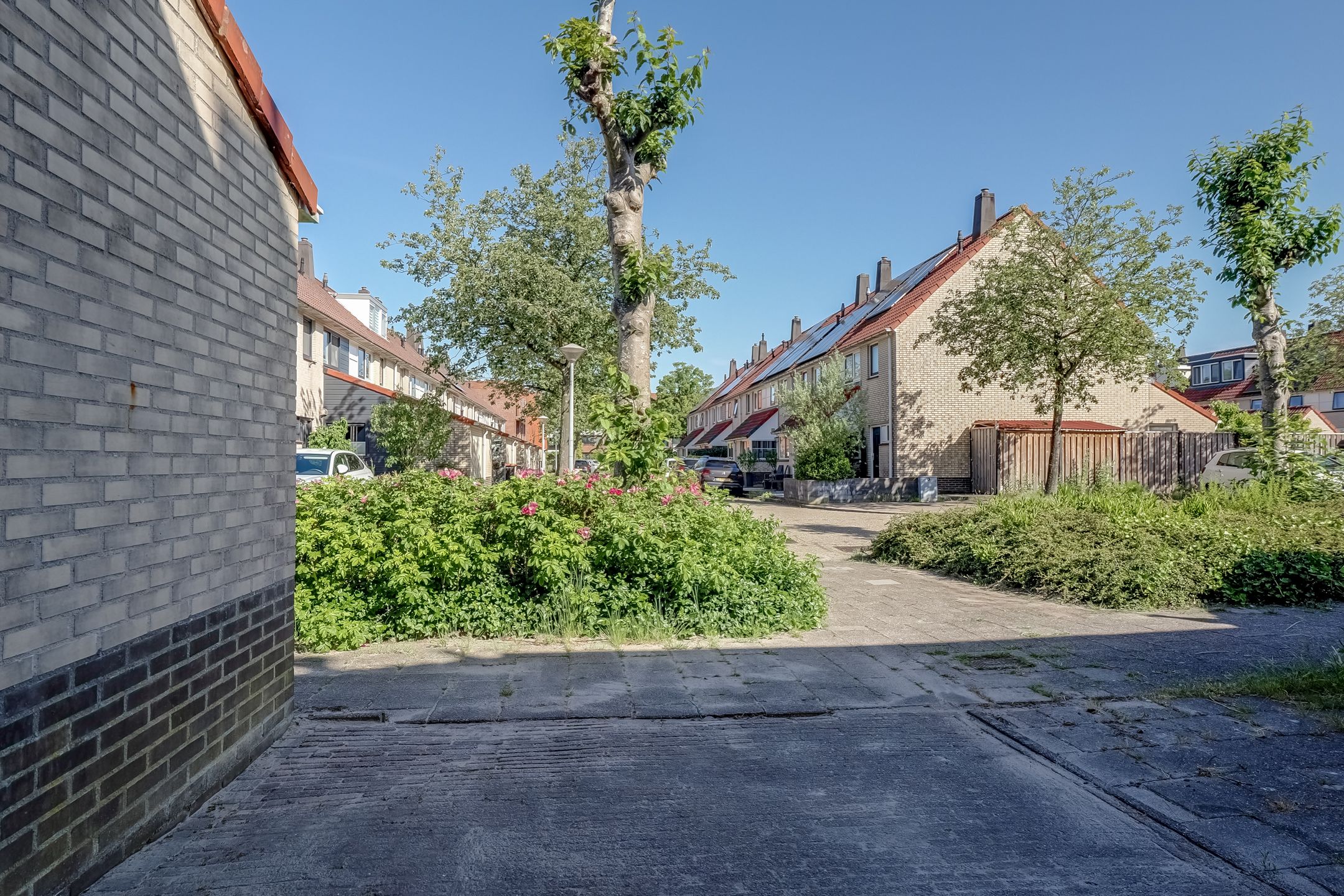Foto 42 van Saffier 11