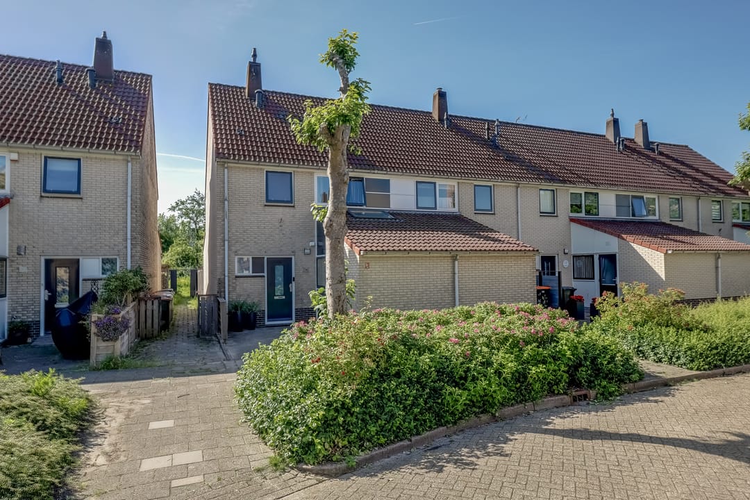 Foto 41 van Saffier 11