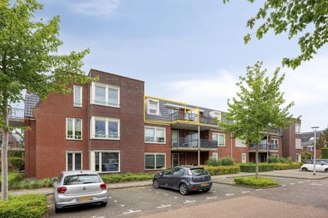 Esdoornlaan thumbnail