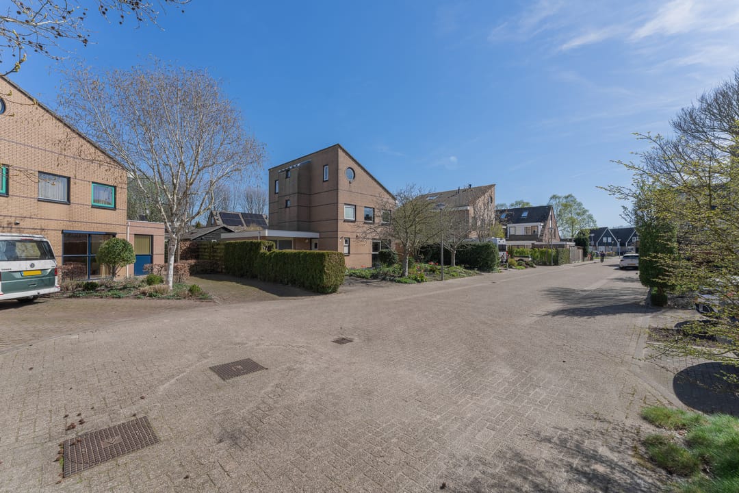 Photo 62 of Ruiter 3