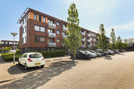 Jan van der Burgstraat thumbnail