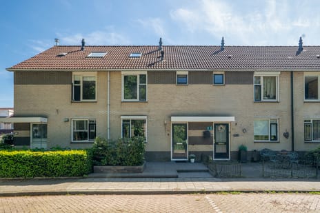 Vespuccistraat thumbnail