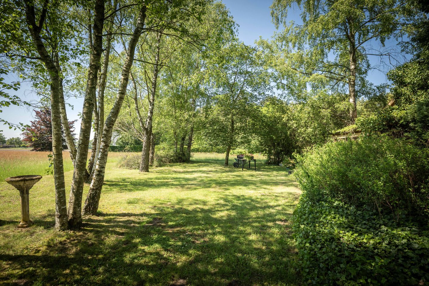 Spacious 19th-Century Farmhouse with NSW Landgoed Status and B&B Business Potential in the Achterhoek — 19