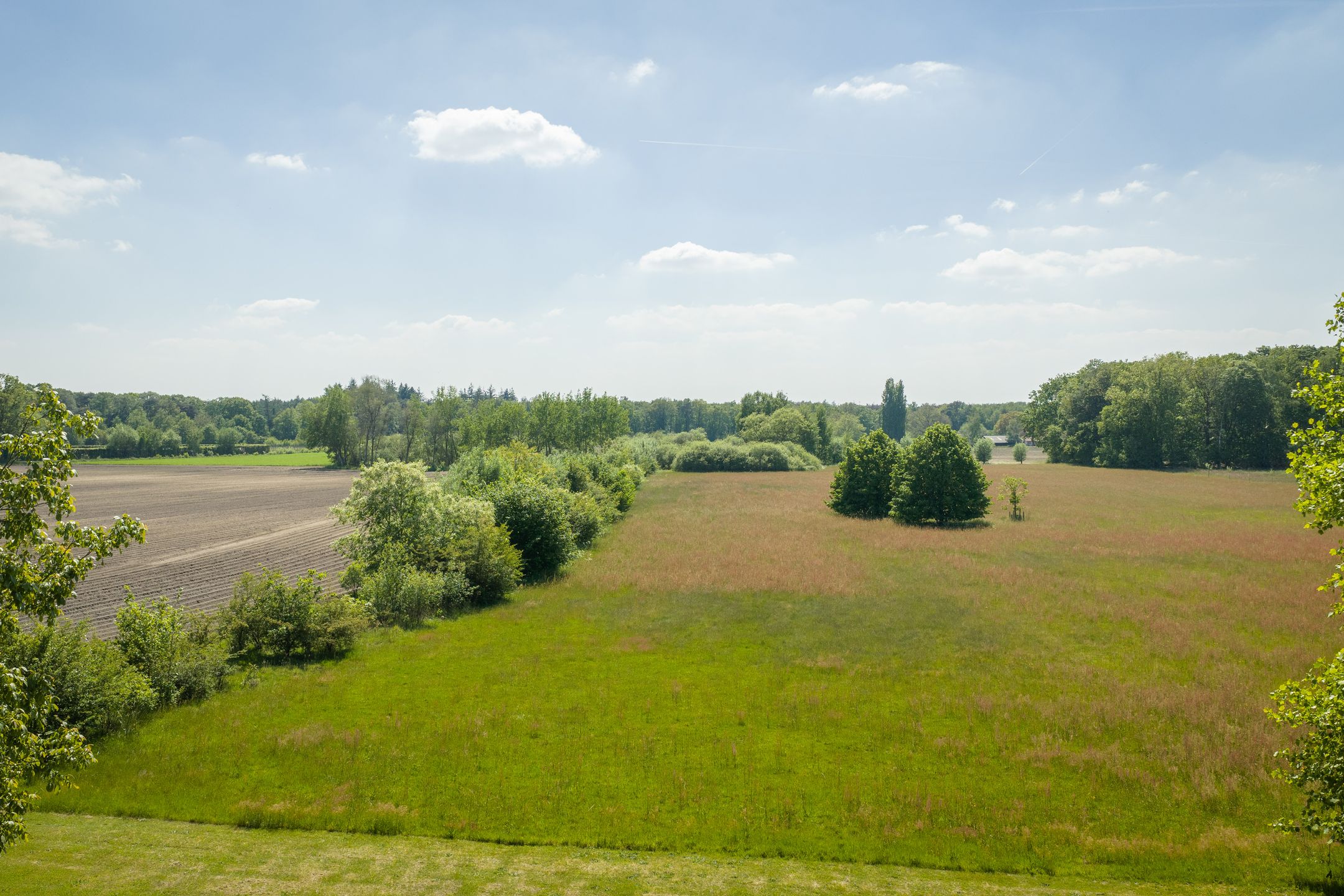 Spacious 19th-Century Farmhouse with NSW Landgoed Status and B&B Business Potential in the Achterhoek — 27