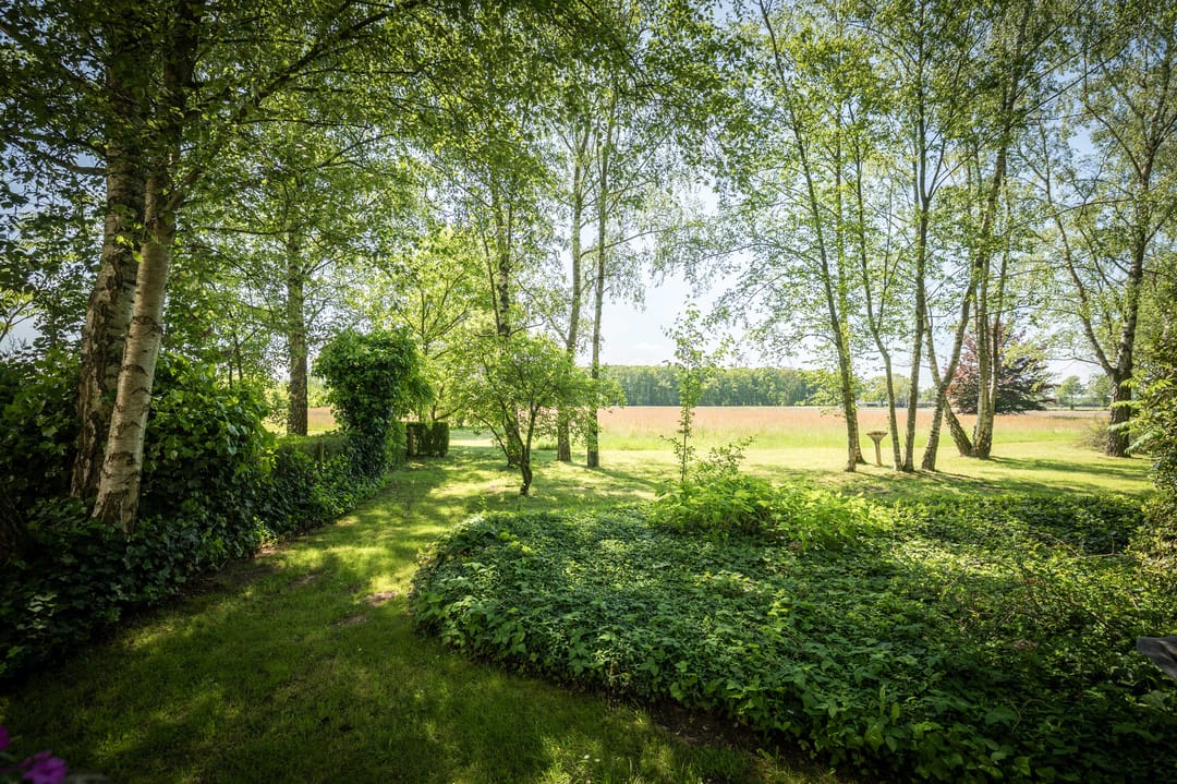 Spacious 19th-Century Farmhouse with NSW Landgoed Status and B&B Business Potential in the Achterhoek — 13