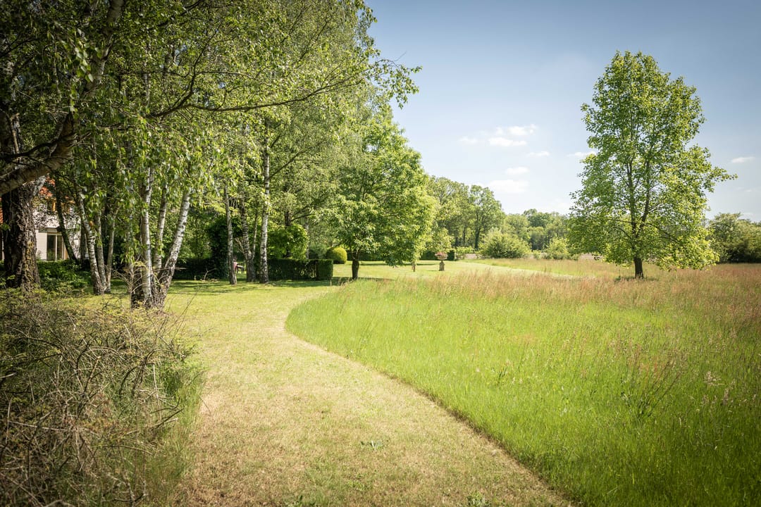 Spacious 19th-Century Farmhouse with NSW Landgoed Status and B&B Business Potential in the Achterhoek — 22