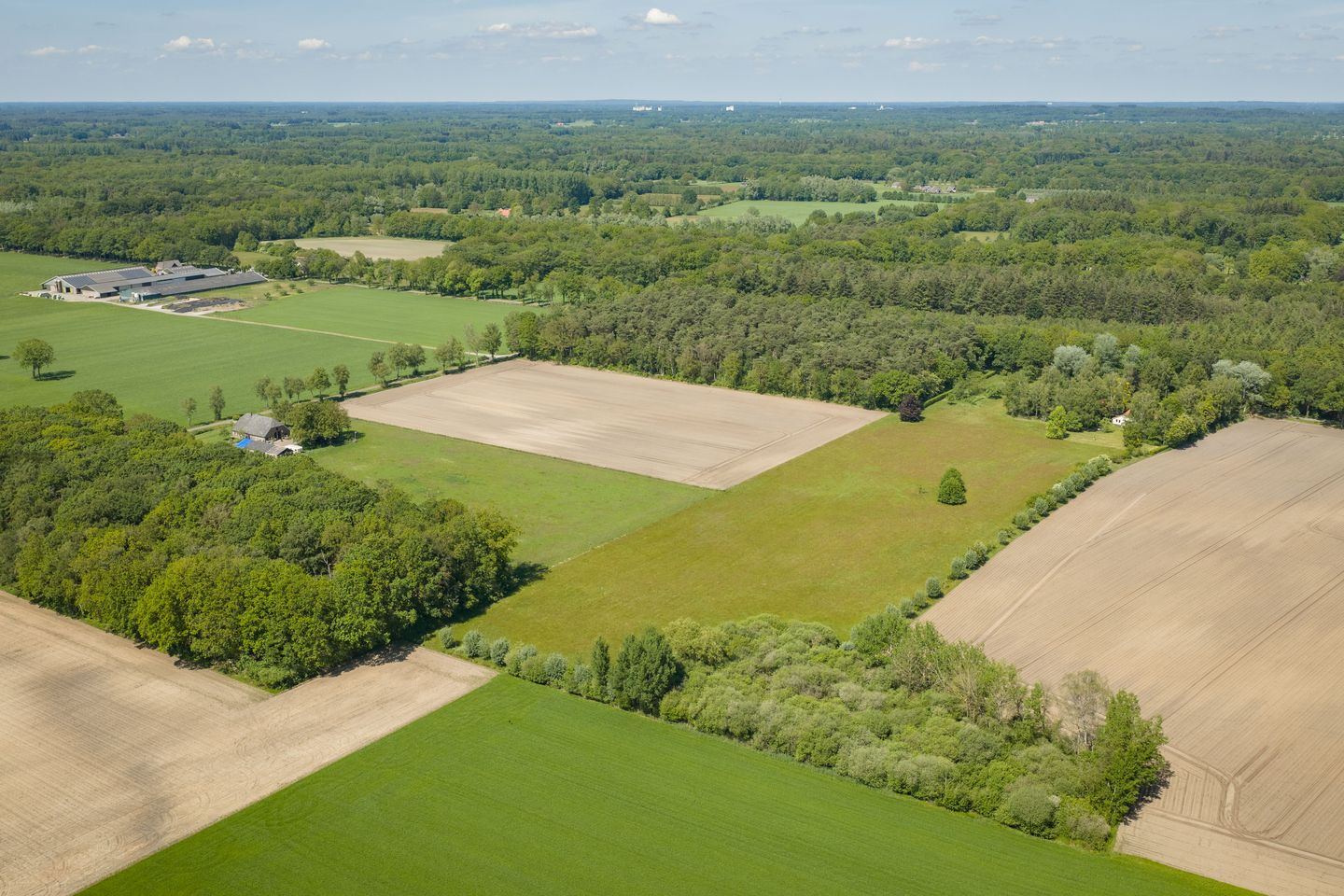 Spacious 19th-Century Farmhouse with NSW Landgoed Status and B&B Business Potential in the Achterhoek — 29