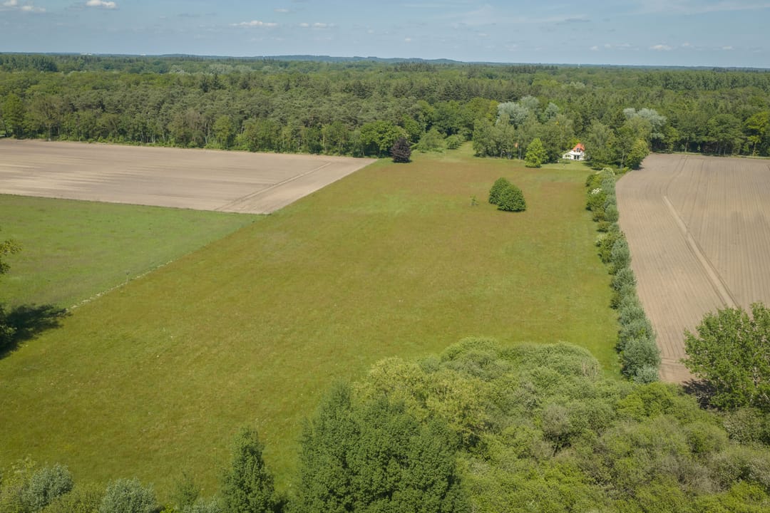 Spacious 19th-Century Farmhouse with NSW Landgoed Status and B&B Business Potential in the Achterhoek — 28