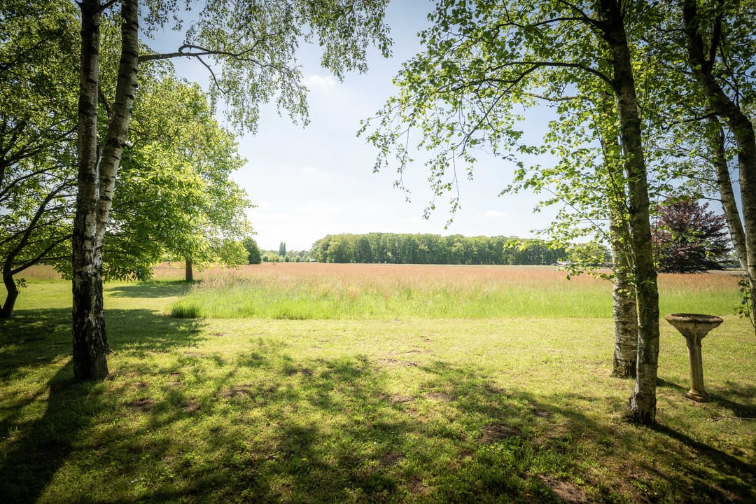 Spacious 19th-Century Farmhouse with NSW Landgoed Status and B&B Business Potential in the Achterhoek — 16