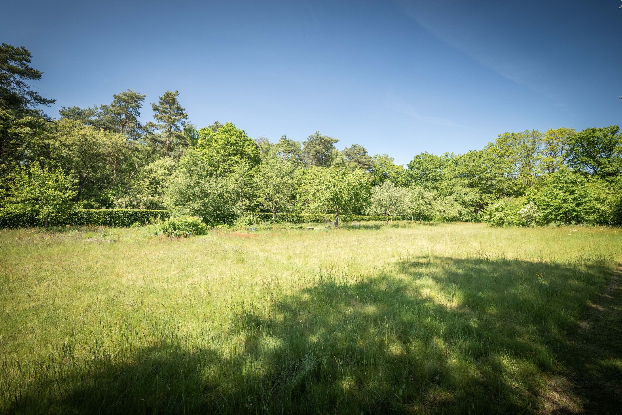 Spacious 19th-Century Farmhouse with NSW Landgoed Status and B&B Business Potential in the Achterhoek — 21