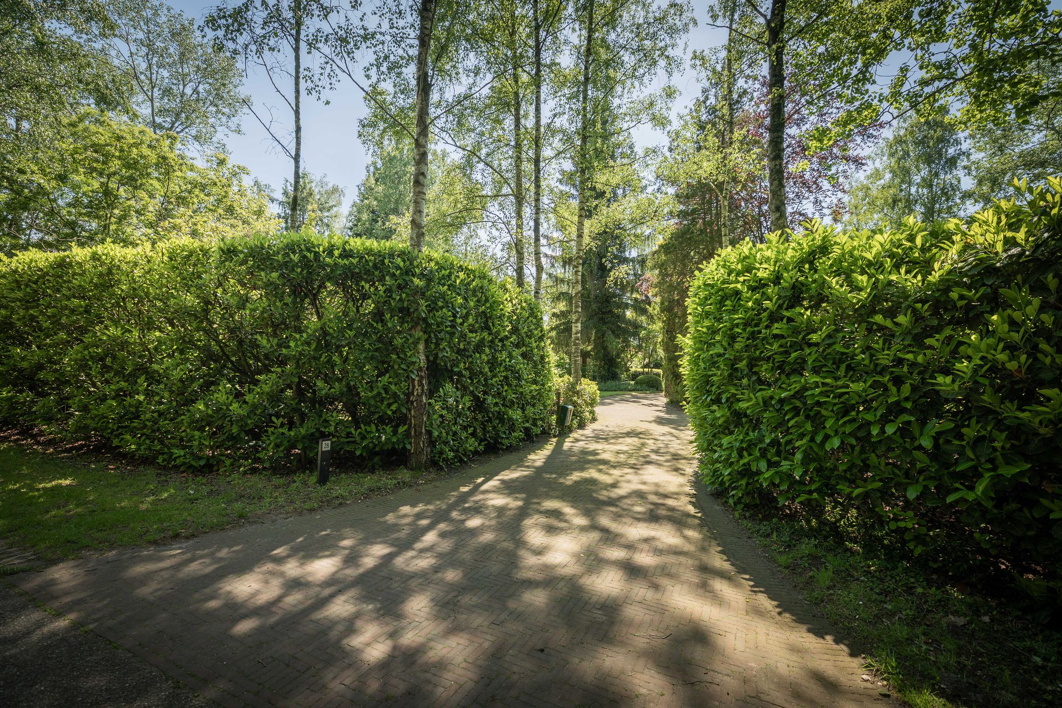 Spacious 19th-Century Farmhouse with NSW Landgoed Status and B&B Business Potential in the Achterhoek — 33