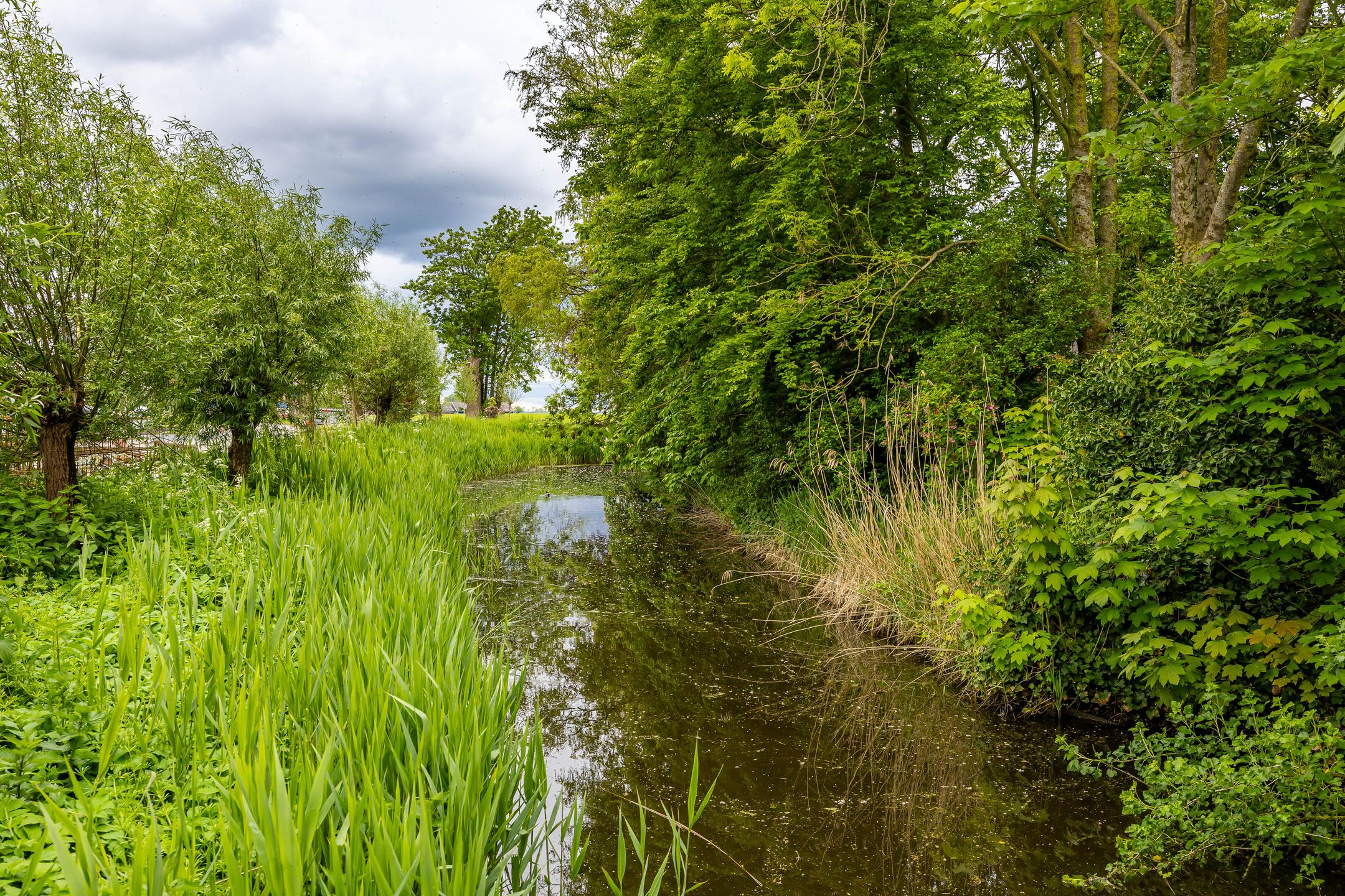 Photo 6 of B. Kuiperweg 16