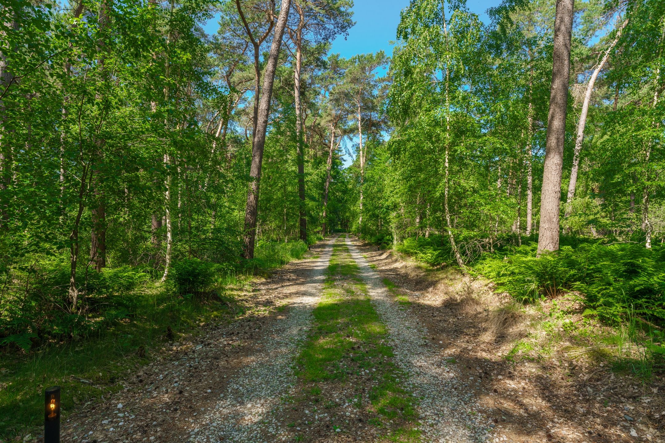 Foto 42 van Sneidershoek 15