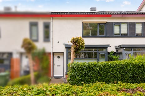 Wilhelmina Druckerstraat thumbnail