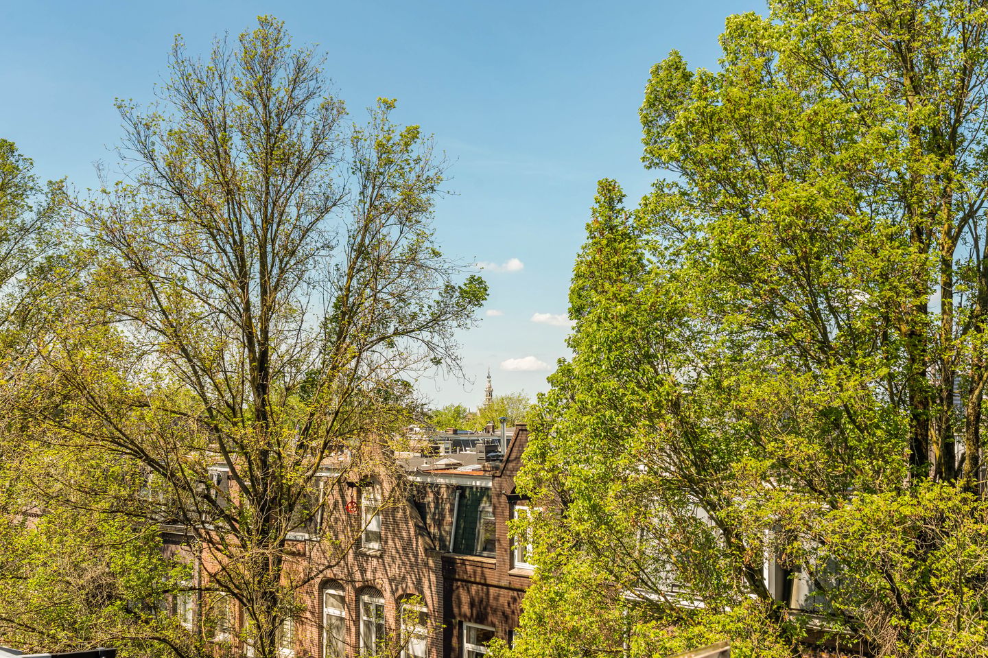 Photo 34 of Graaf Florisstraat 12-3