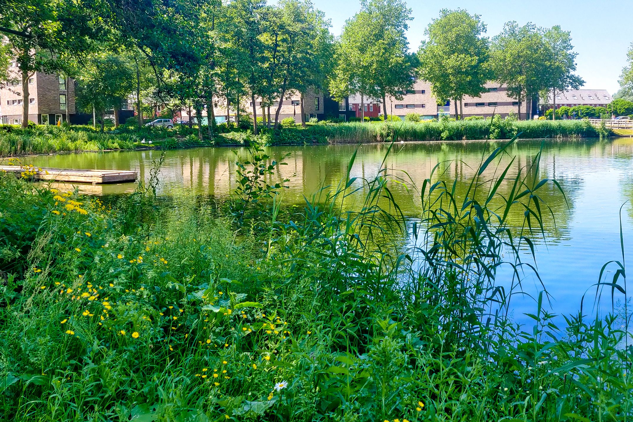 Foto 42 van Utrechtseweg 49