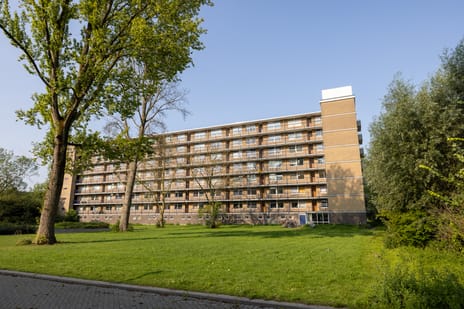 Willem van Boelrestraat thumbnail