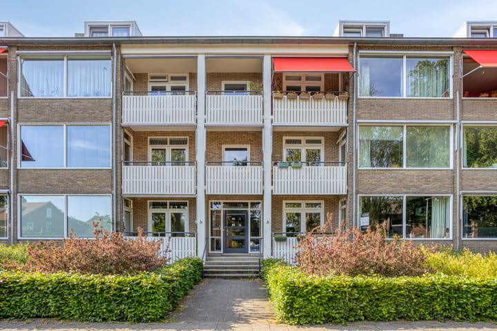 Mesdaglaan 78-1