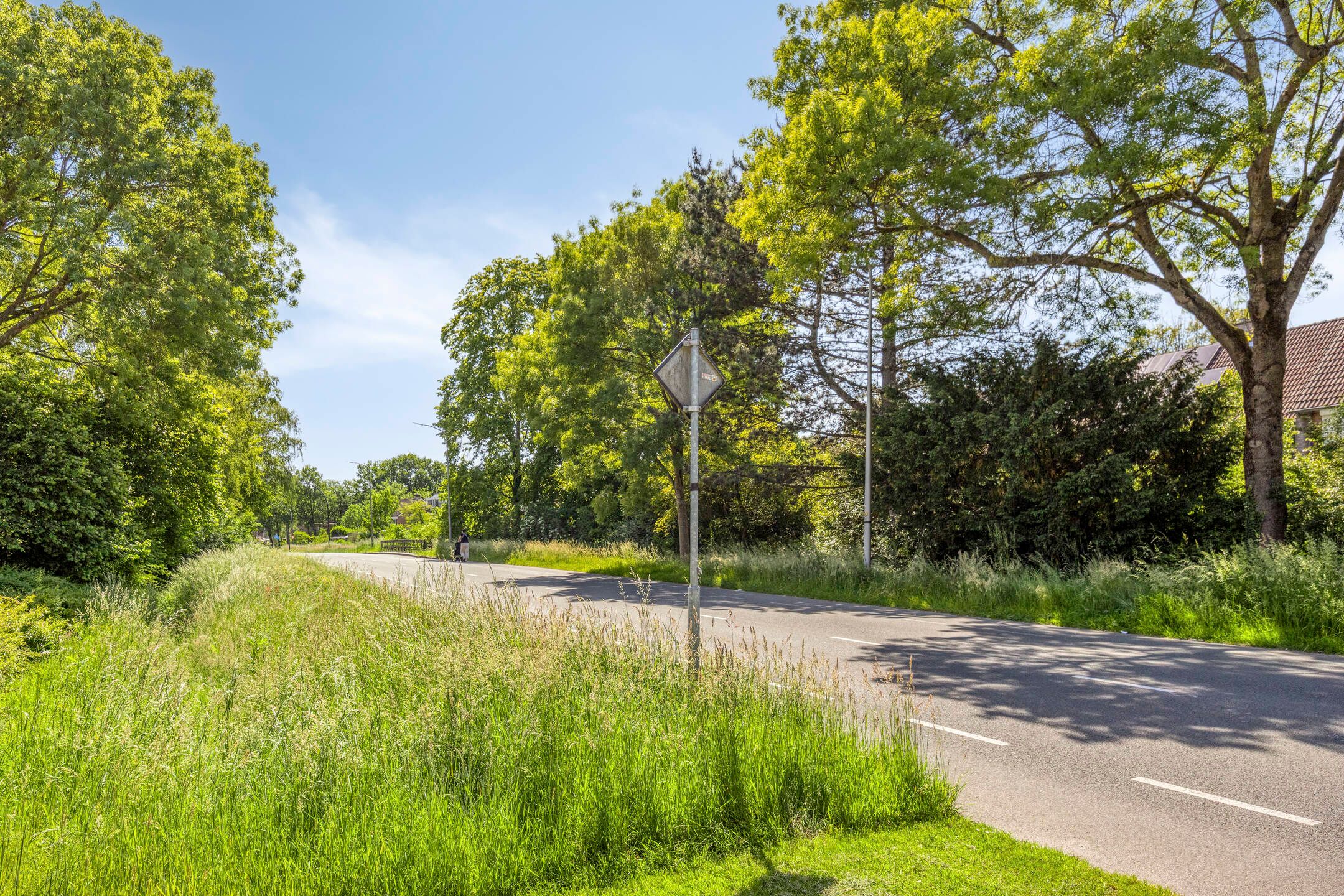 Foto 42 van Noordelijke Esweg 10