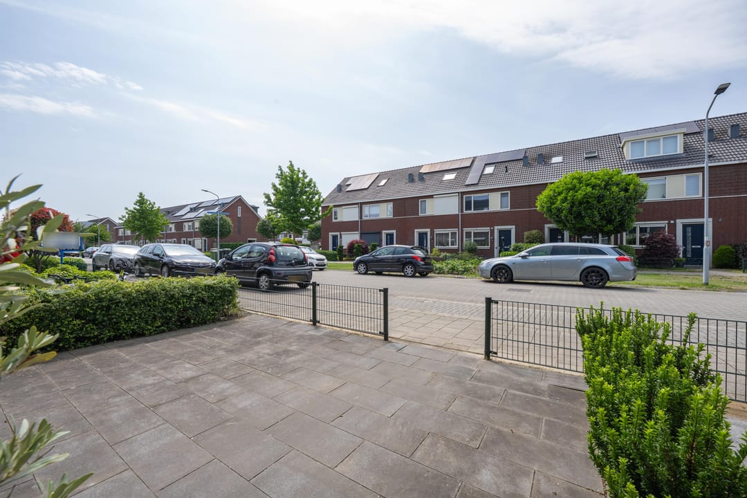 Photo 8 of Aardbeivlinder 35