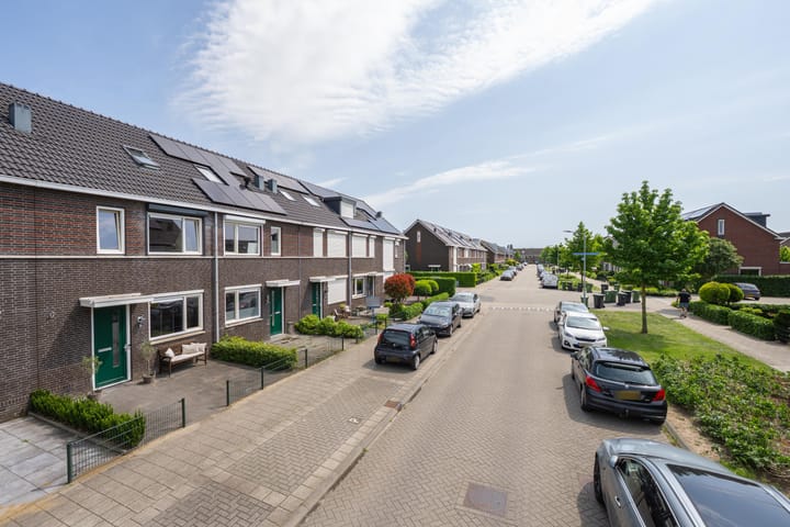 Foto 5 van Aardbeivlinder 35