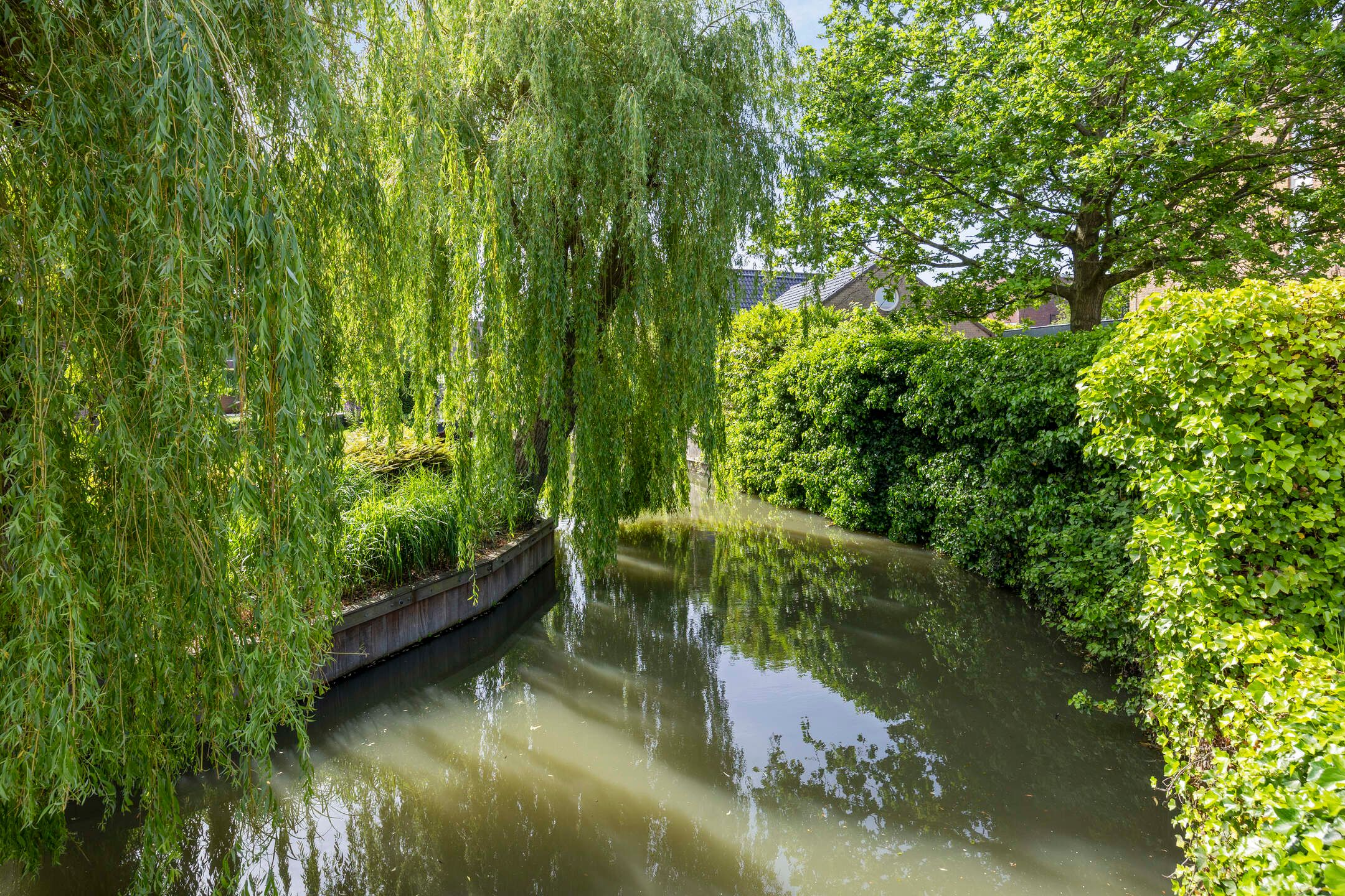 Photo 57 of Endeldijk 36