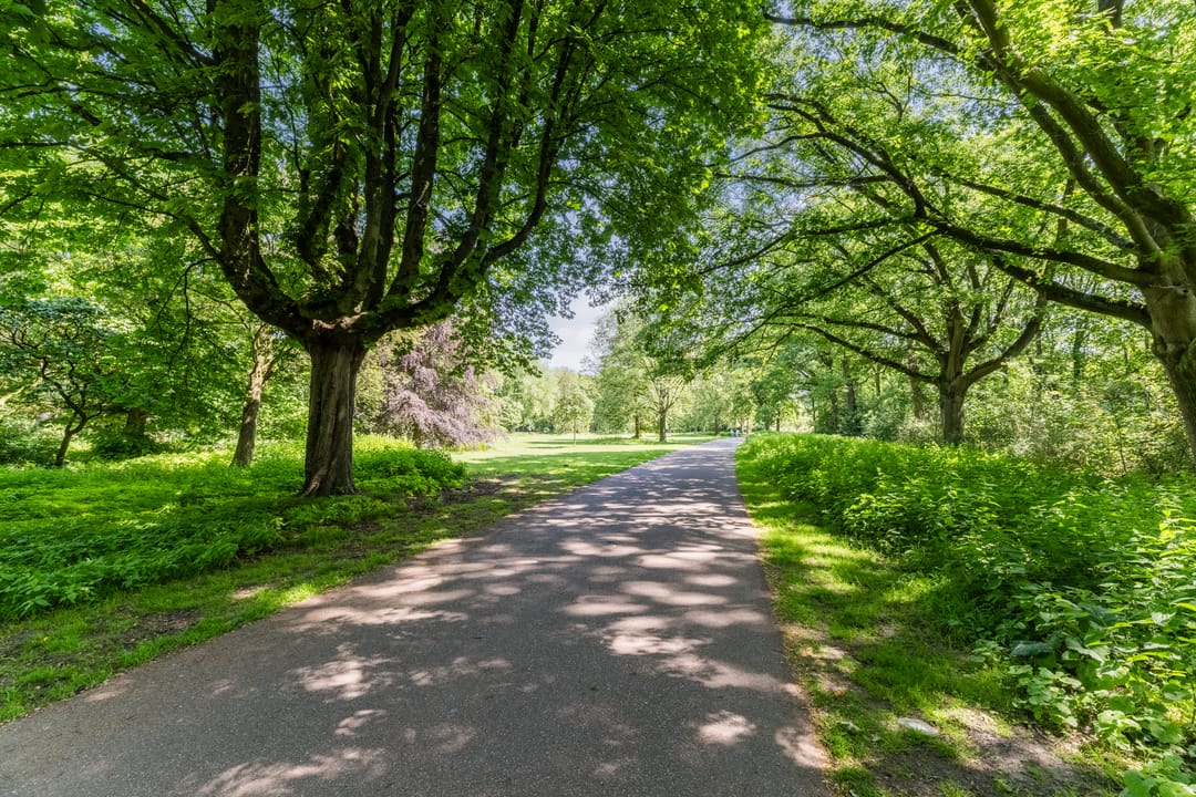 Photo 43 of Arendlaan 8