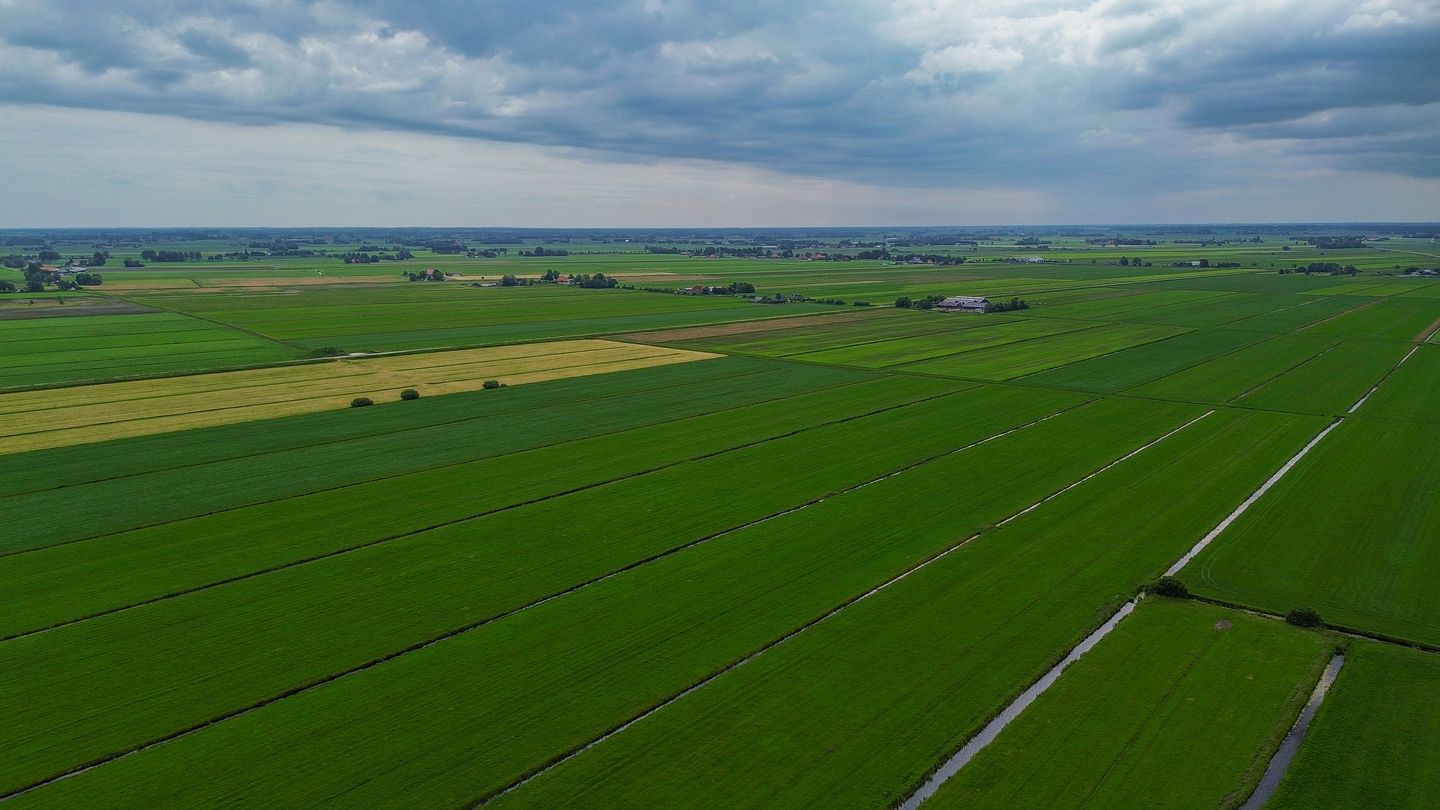 Photo 55 of Beukenlaan 16