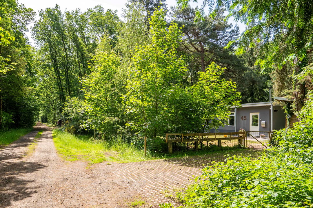 Photo 32 of Boterpol 45