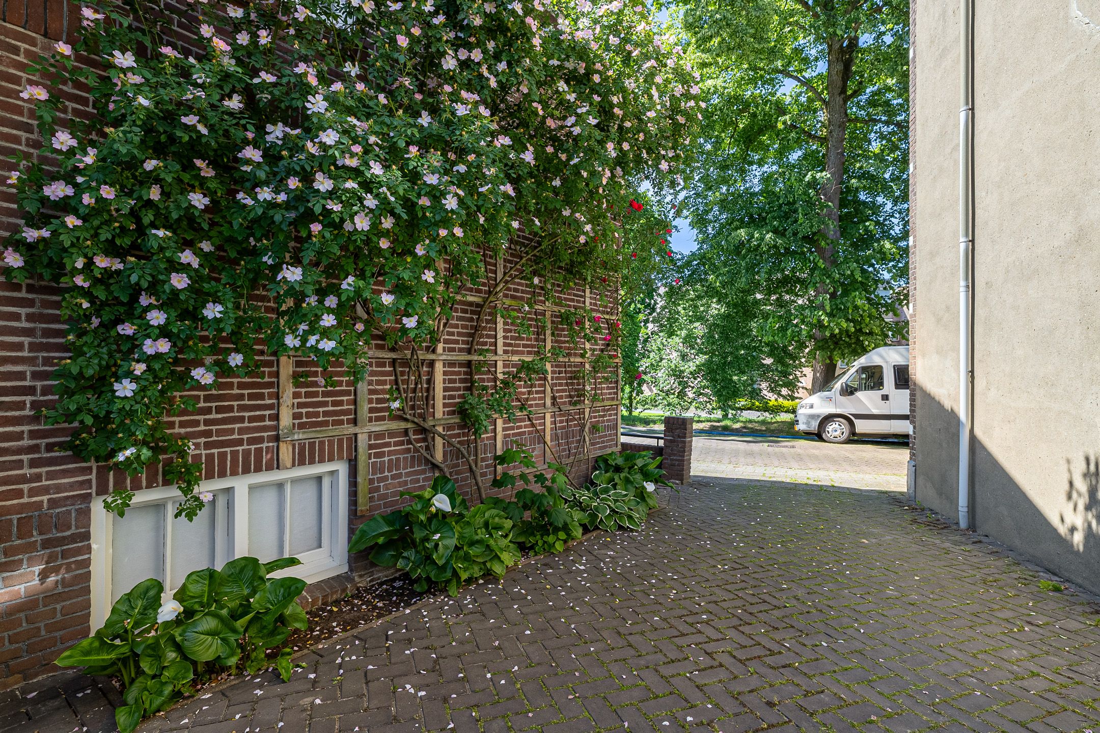 Foto 57 van Noordersingel 5