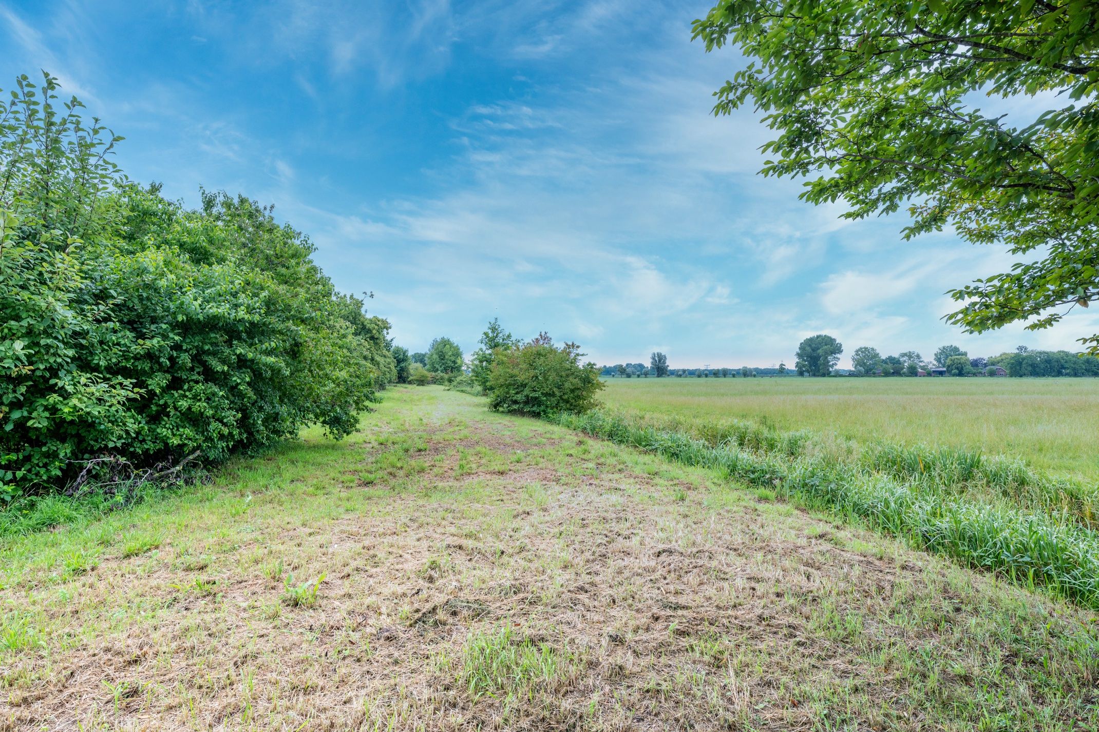 Unique Farmstead Opportunity with Renovation Permits for Two Homes near Utrecht — 33