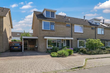 Ligusterstraat thumbnail