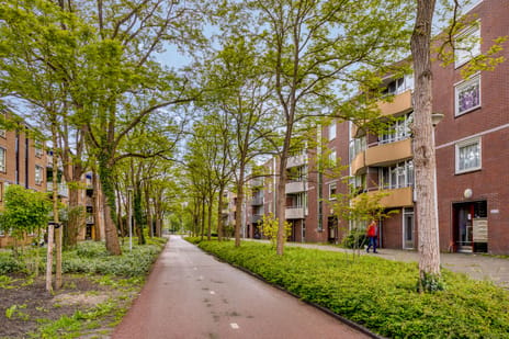 Wisseloord thumbnail