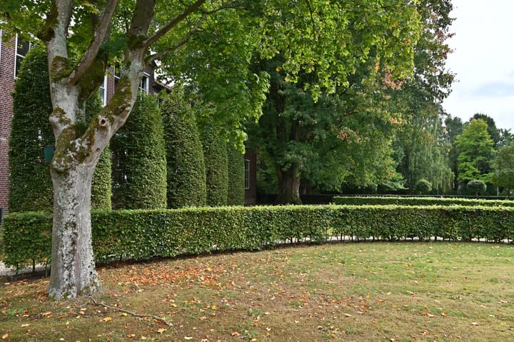 Foto 5 van Kapucijnenhof 42