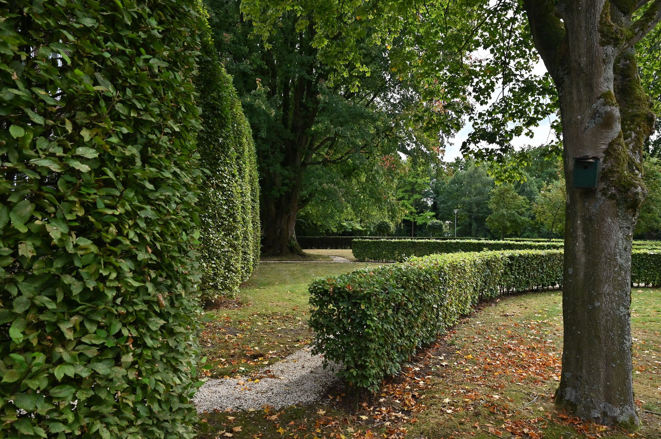 Foto 21 van Kapucijnenhof 42