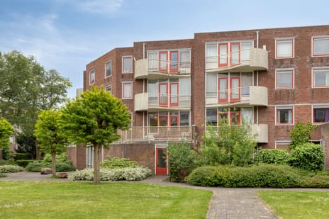 Boniplein thumbnail