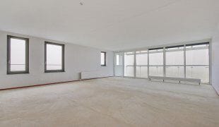 Foto 4 van Luzernevlinder 17