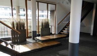 Foto 3 van Luzernevlinder 17