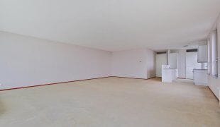 Foto 5 van Luzernevlinder 17
