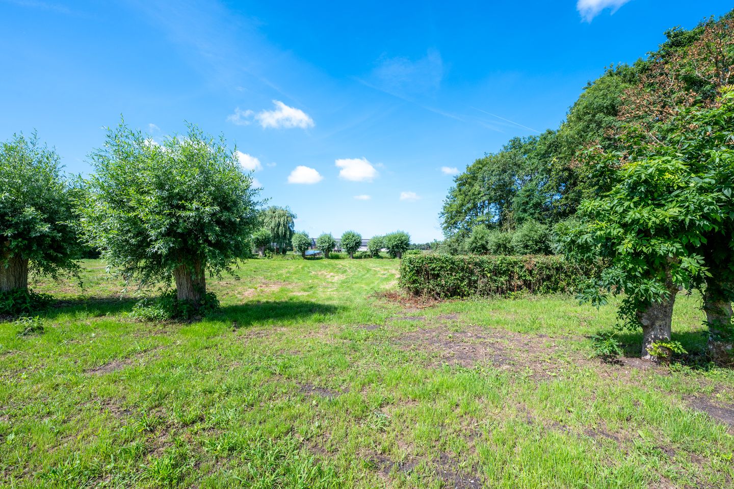 Unique Monumental Farmhouse Estate with NSW Status near Amsterdam and Utrecht — 119