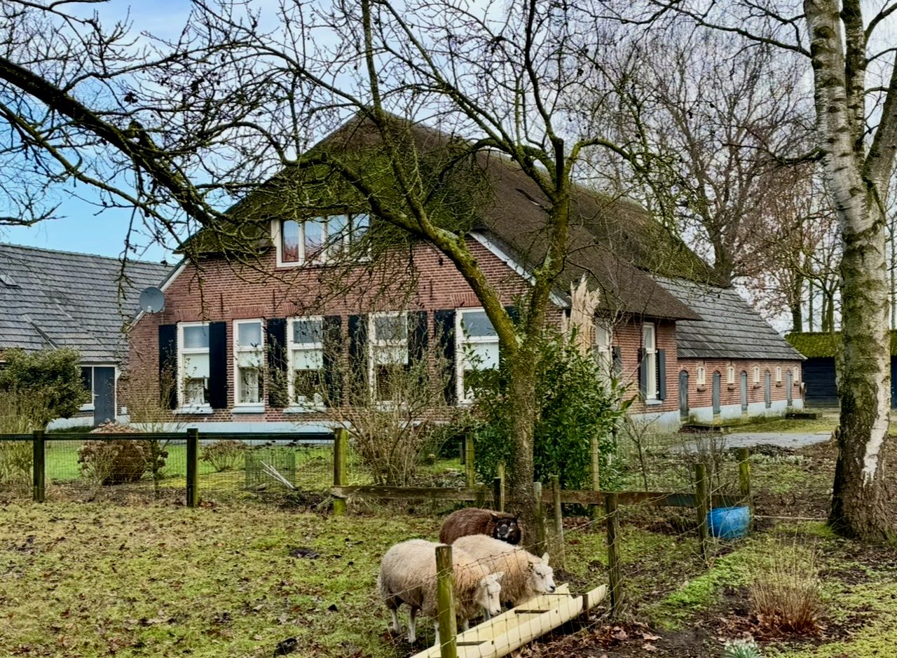 Foto 33 van Maneschijnsweg 29