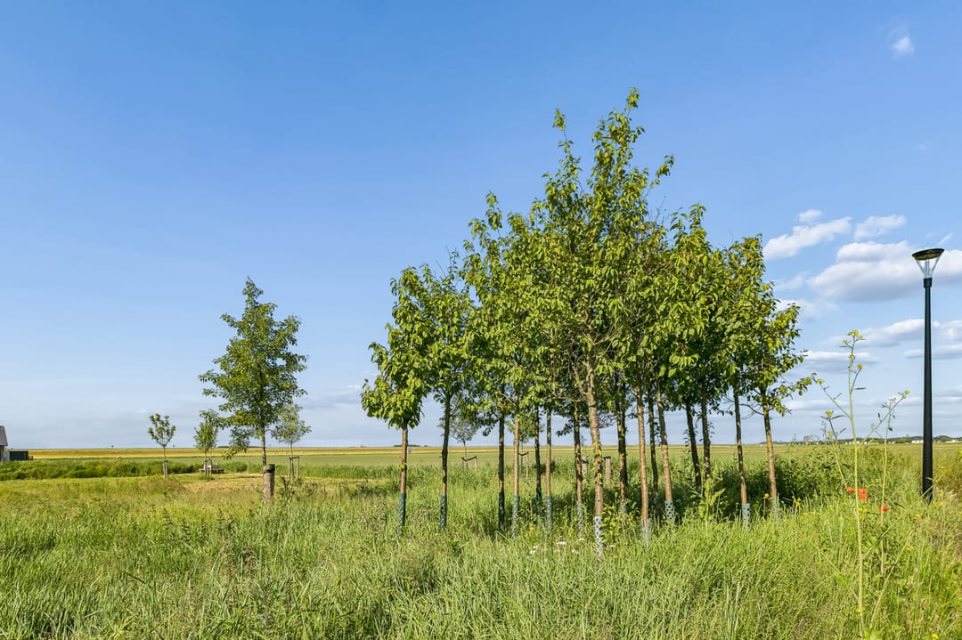 Foto 43 van Speulderbos 21