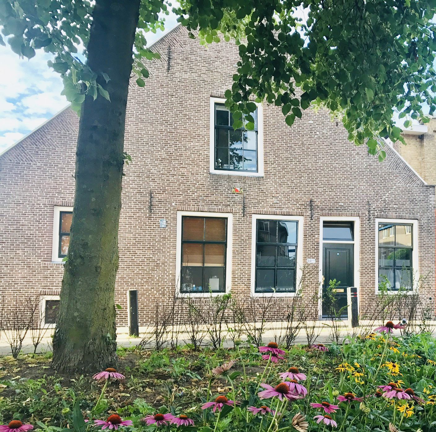 Foto 12 van Zonstraat 44-B