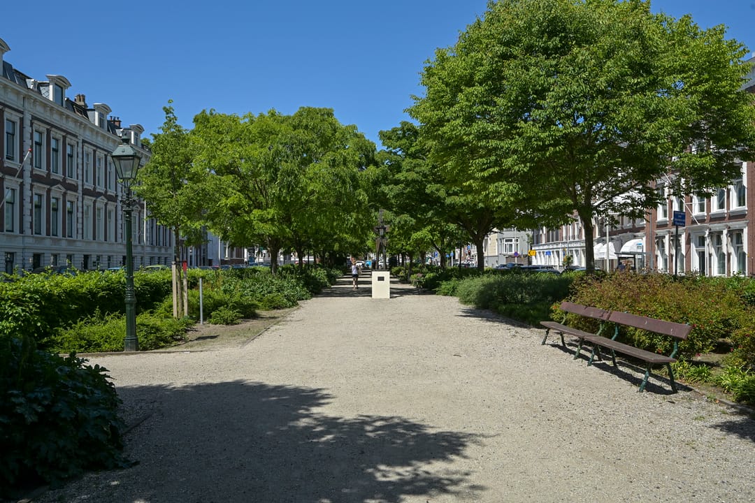 Foto 41 van Burgemeester De Monchyplein 238
