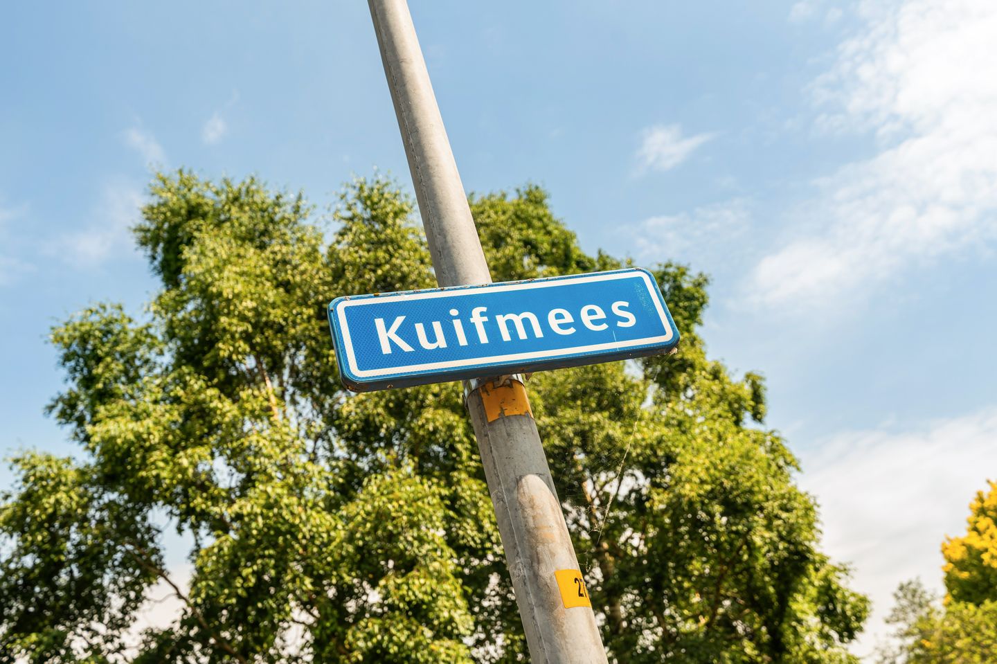 Photo 44 of Kuifmees 28