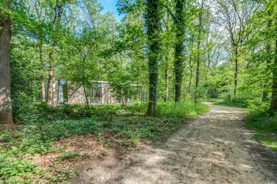 Photo 23 of Langeloërduinen 4 102